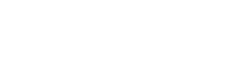 logo de website